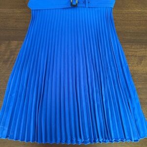 Elegant Blue Pleated Skirt